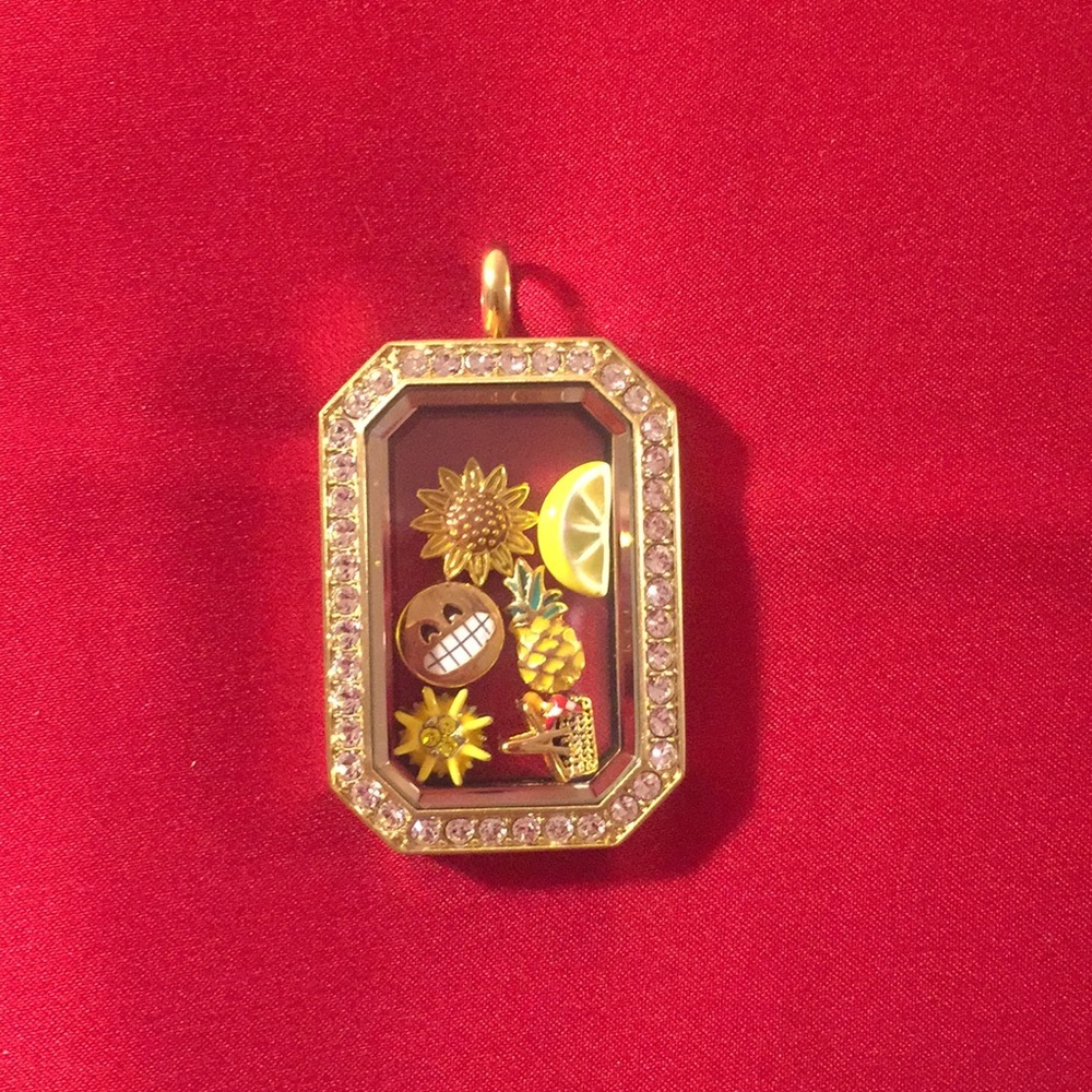 Summer Origami Owl hinge locket with 6 charms